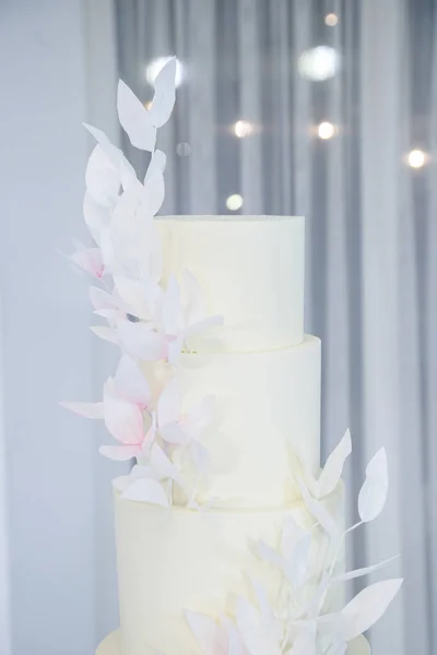 Delicioso Bolo Fresco Camadas Doces Para Feriado Com Belas Decorações — Fotografia de Stock