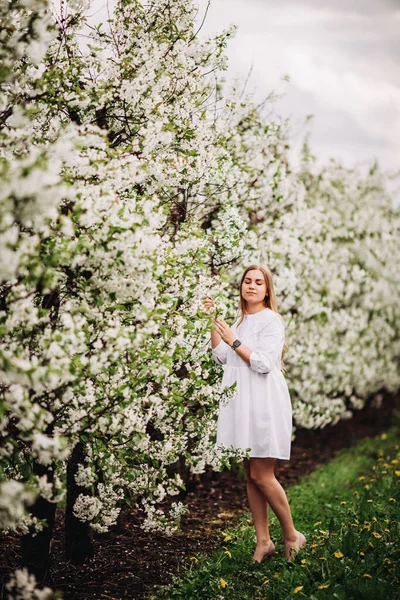 Bella Giovane Donna Vicino Fioritura Albero Bianco Nel Parco Primaverile — Foto Stock