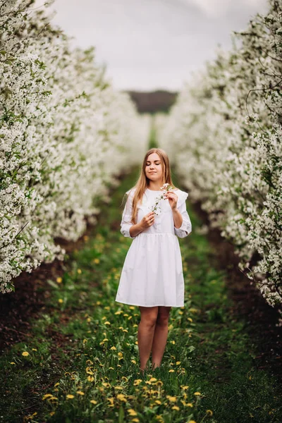 Hermosa Mujer Joven Cerca Floración Del Árbol Blanco Parque Primavera — Foto de Stock