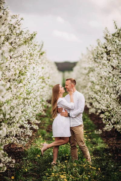 ロマンチックな場所で美しい若いカップル 春のリンゴの果樹園開花 園内を散策しながら楽しいカップルがお楽しみいただけます 女の手を握る男 — ストック写真