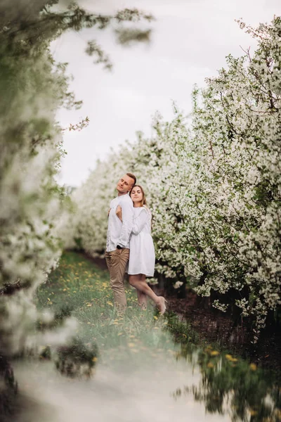 Boldog Házaspár Tavaszi Virágzó Almáskertben Fiatal Szerelmesek Élvezik Egymást Miközben — Stock Fotó