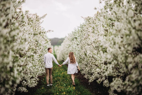 Щаслива Сімейна Пара Навесні Квітучого Яблучного Саду Молода Закохана Пара — стокове фото