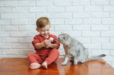 2 yaşındaki küçük bir çocuk, temassız termometresi olan bir kedinin sıcaklığını ölçer.