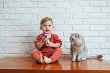 2 yaşındaki küçük bir çocuk, temassız termometresi olan bir kedinin sıcaklığını ölçer.