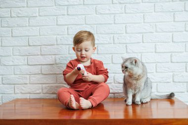 2 yaşındaki küçük bir çocuk, temassız termometresi olan bir kedinin sıcaklığını ölçer.