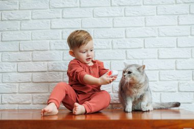 2 yaşındaki küçük bir çocuk, temassız termometresi olan bir kedinin sıcaklığını ölçer.