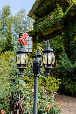 Uzun kır evi yeşillikle kaplanmış. Eko konutlar. İnsanların hayatı için güzel bir bina.
