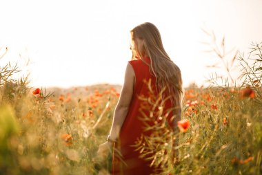 Çiçek açan haşhaş tarlasında kırmızı elbiseli güzel bir kadın. Seçici odak