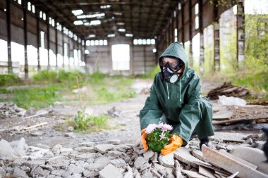 Yağmurluk ve gaz maskeli bir adam yanmış, zehirli bir diyardan çiçek topluyor. Hava kirliliği konsepti. Ekolojik felaket.