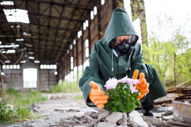 Yağmurluk ve gaz maskeli bir adam yanmış, zehirli bir diyardan çiçek topluyor. Hava kirliliği konsepti. Ekolojik felaket.