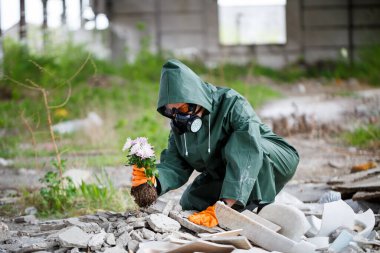 Yağmurluk ve gaz maskeli bir adam yanmış, zehirli bir diyardan çiçek topluyor. Hava kirliliği konsepti. Ekolojik felaket.