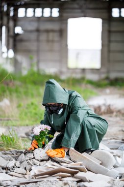 Yağmurluk ve gaz maskeli bir adam yanmış, zehirli bir diyardan çiçek topluyor. Hava kirliliği konsepti. Ekolojik felaket.