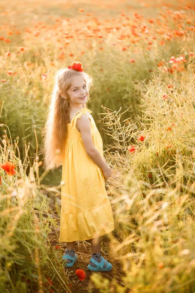 Menina Vestido Amarelo Corre Flores Papoula Vermelhas Fundo Grama Verde — Fotografia de Stock