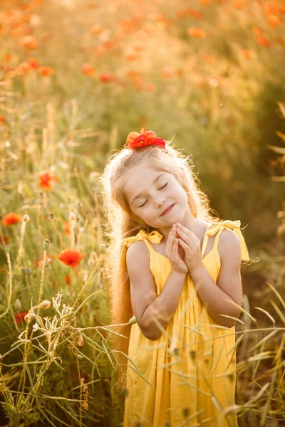 Glada Flicka Med Ett Leende Läpparna Blommande Fält Röda Blommor — Stockfoto