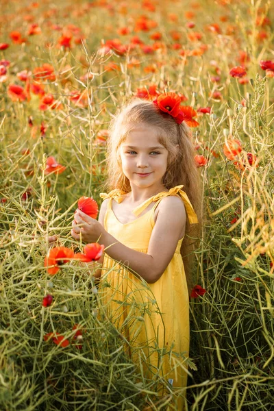 Menina Alegre Com Sorriso Rosto Papoilas Florescendo Campo Flores Vermelhas — Fotografia de Stock