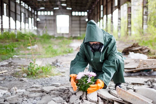 Homme Vêtu Imperméable Masque Gaz Recueille Une Fleur Sur Une — Photo