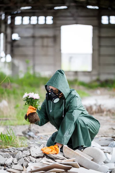 Ένας Άντρας Αδιάβροχο Και Μάσκα Αερίων Συλλέγει Ένα Λουλούδι Από — Φωτογραφία Αρχείου