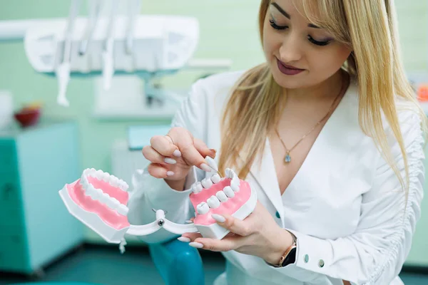 Exitoso Doctor Dentista Sostiene Sus Manos Mira Muestra Plástica Mandíbula — Foto de Stock