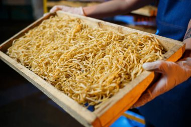 Elinde makarna olan bir işçi. Kız spagetti yapımında çalışıyor. Erişte yapıyorum. Makarna fabrikası.