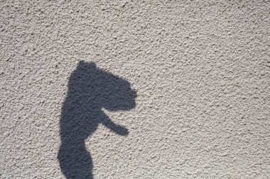 Asfalttaki elin gölgesi. Güneşli bir günde gölgeler oynar