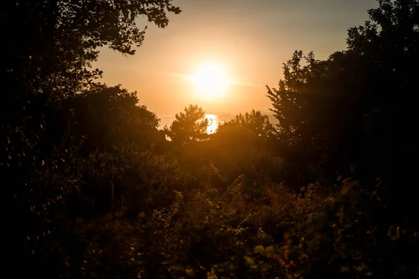 Una Hermosa Puesta Sol Brillante Sobre Telón Fondo Del Interminable — Foto de Stock
