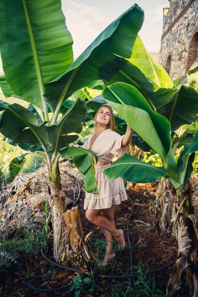 熱帯公園のバナナの木の近くには魅力的な若い色白の女性が立っています 選択的焦点 — ストック写真