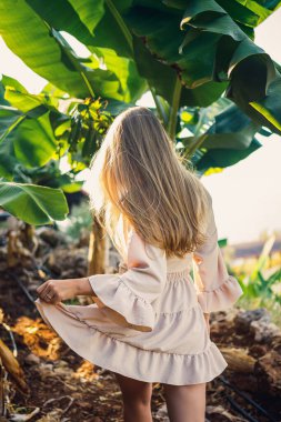 Parktaki bir muz ağacının büyük yeşil yaprağının yanında bir kadın. Tropik bitkiler ve yürüyen çekici bir kız.