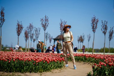 Şapkalı ince, güzel bir kadın çiçek açan lale tarlasında duruyor. Bahar geldi.