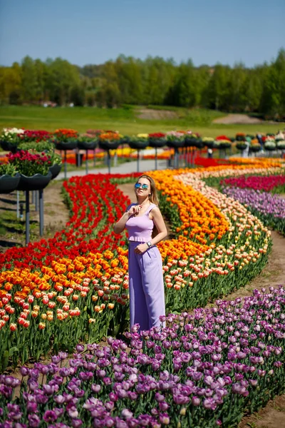 Young Woman Pink Suit Stands Blooming Field Tulips Spring Time — стоковое фото