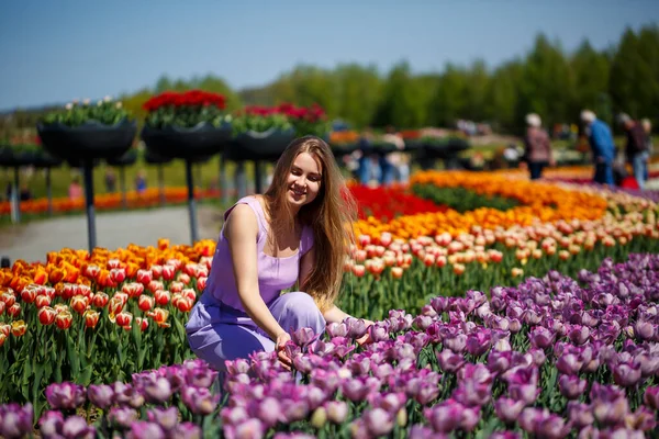 Young Woman Pink Suit Stands Blooming Field Tulips Spring Time — стоковое фото