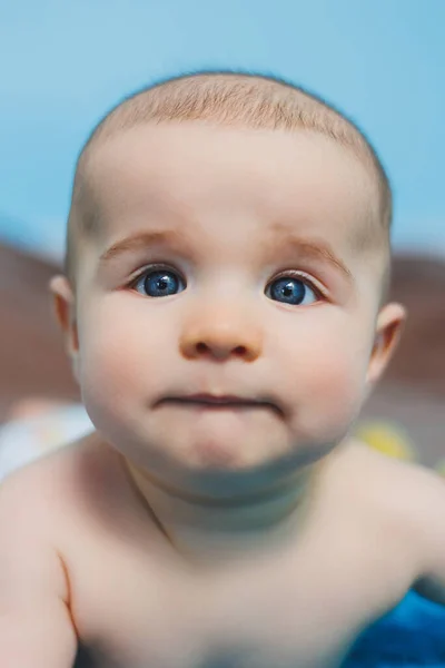 Ein Glückliches Baby Von Vier Monaten Liegt Auf Einer Strickdecke — Stockfoto