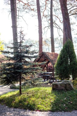 Beautiful wooden gazebo for outdoor recreation. Place in nature with a wooden house