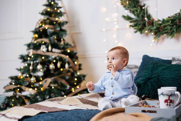 Petit Garçon Mignon Est Assis Sur Lit Sur Fond Arbre — Photo