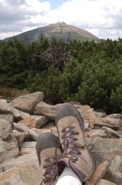 iz üzerinde bekletin