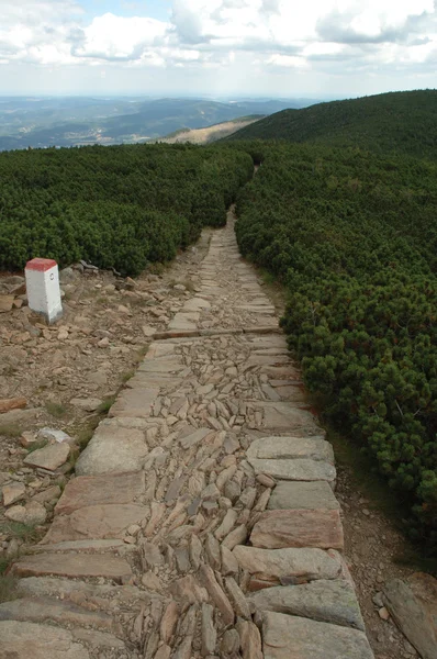 Trail in Karkonosze mountains — Stock Photo, Image