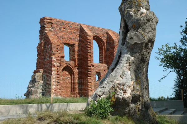 Árbol y ruinas de la iglesia Fotos De Stock Sin Royalties Gratis