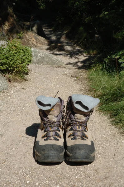 Zapatos de trekking en el sendero —  Fotos de Stock