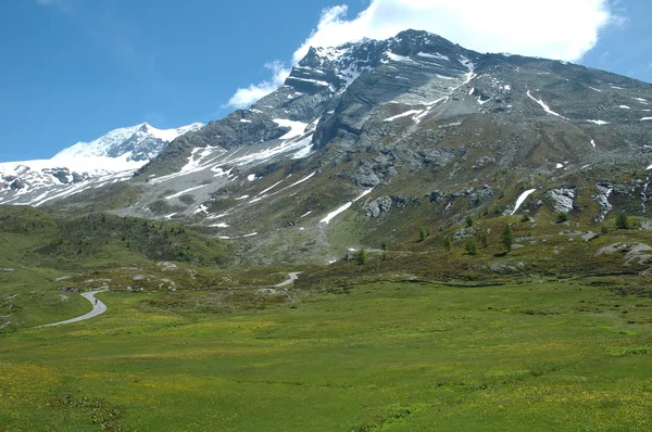 Alperna i Schweiz — Stockfoto