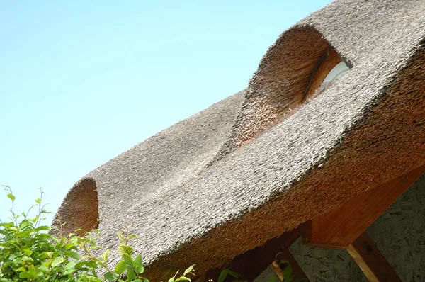 Соломенная крыша и окна Лицензионные Стоковые Фото