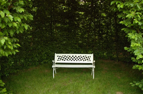 Vieux banc blanc — Photo