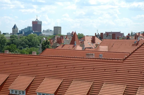 Pannendaken — Stockfoto