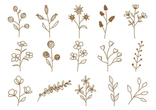 Hand Drawn Botanical Set Leaves Flowers Decoration — Stockvector