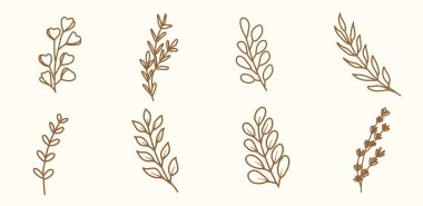 Dekorasyon için el yapımı botanik yaprakları ve çiçekler