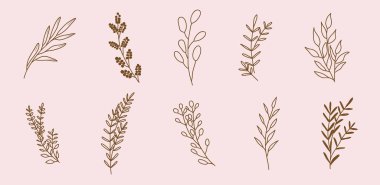 Dekorasyon için el yapımı botanik yaprakları ve çiçekler