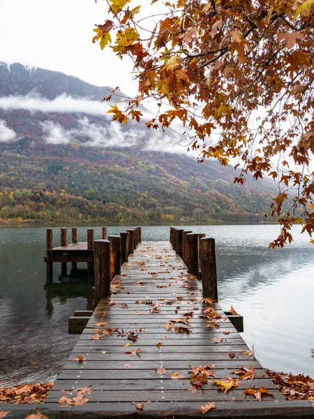 가을에 피아노 호수에 — 스톡 사진
