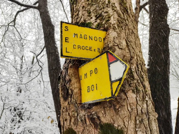 Señales Sendero Alpino Integradas Árbol Los Nombres Las Señales Indican —  Fotos de Stock