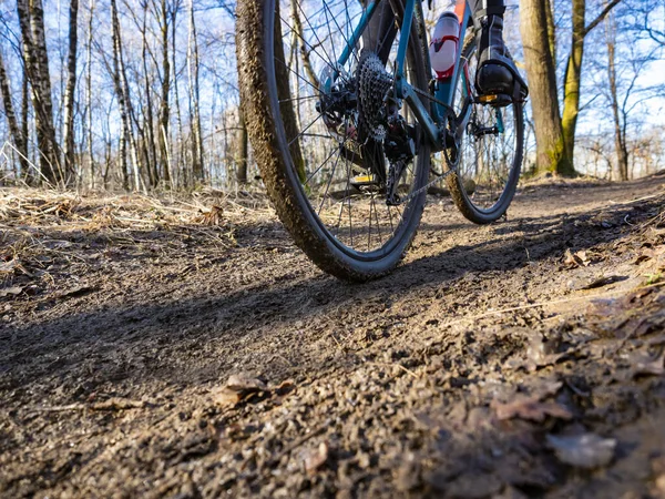 Güneşli bir sabahta bisiklet sürmek