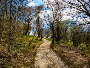 Como Gölü 'nün İtalyan Alplerinde patika yolu