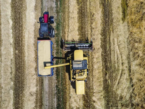 Oogsttafereel Het Italiaanse Platteland — Stockfoto