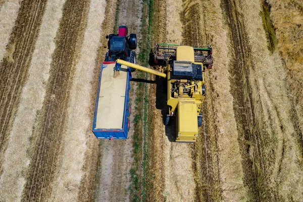 Oogsttafereel Het Italiaanse Platteland — Stockfoto